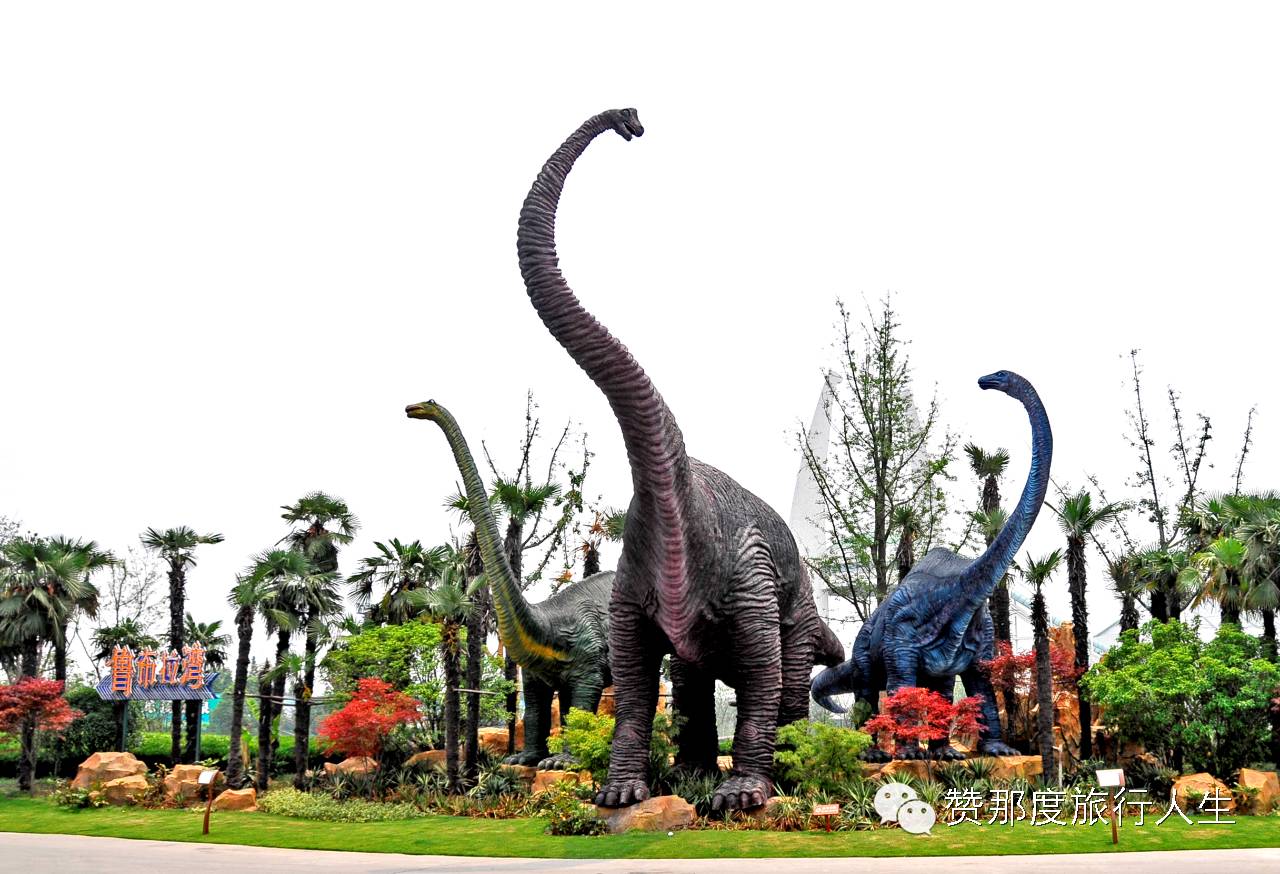 恐龙园最新探索,自然美景的愉快之旅