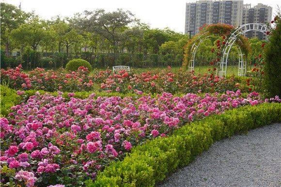 上海最新街道，多维视角下的城市发展与观点碰撞