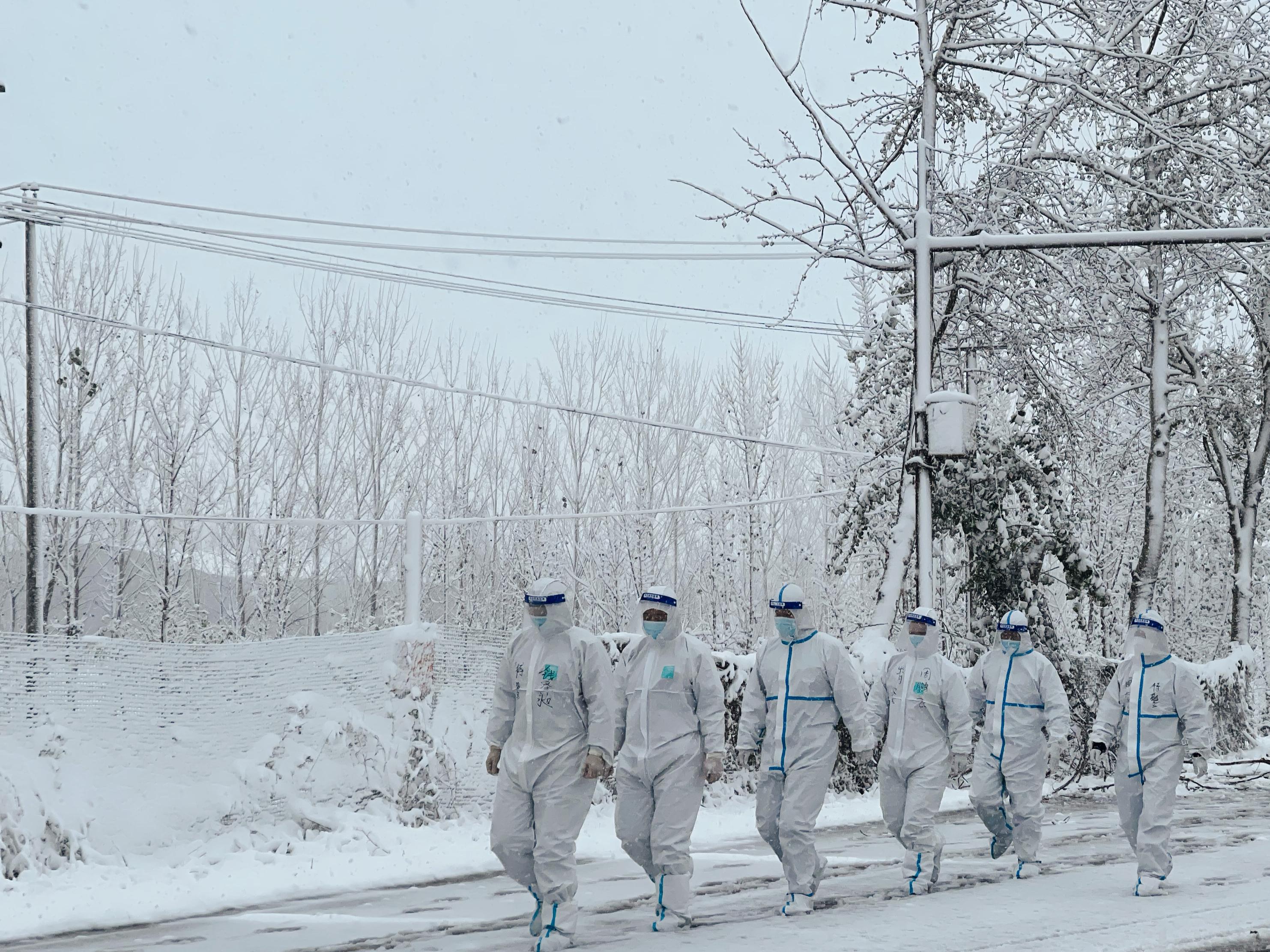 定州最新疫情下的温馨日常点滴记录