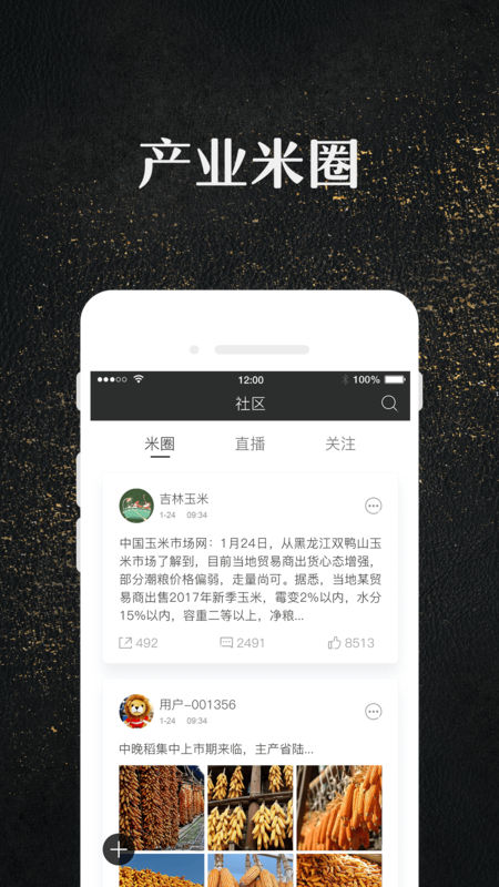 玉米最新导航引领你走进金黄的未来世界！